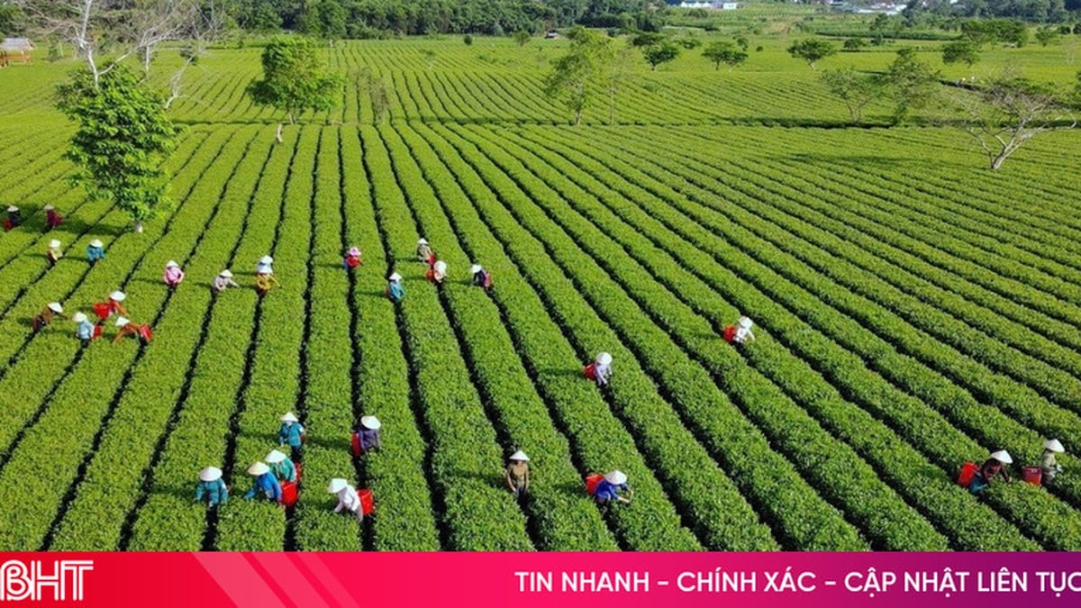 ADB will in Ha Tinh ein „heilendes“ Tourismusmodell aufbauen