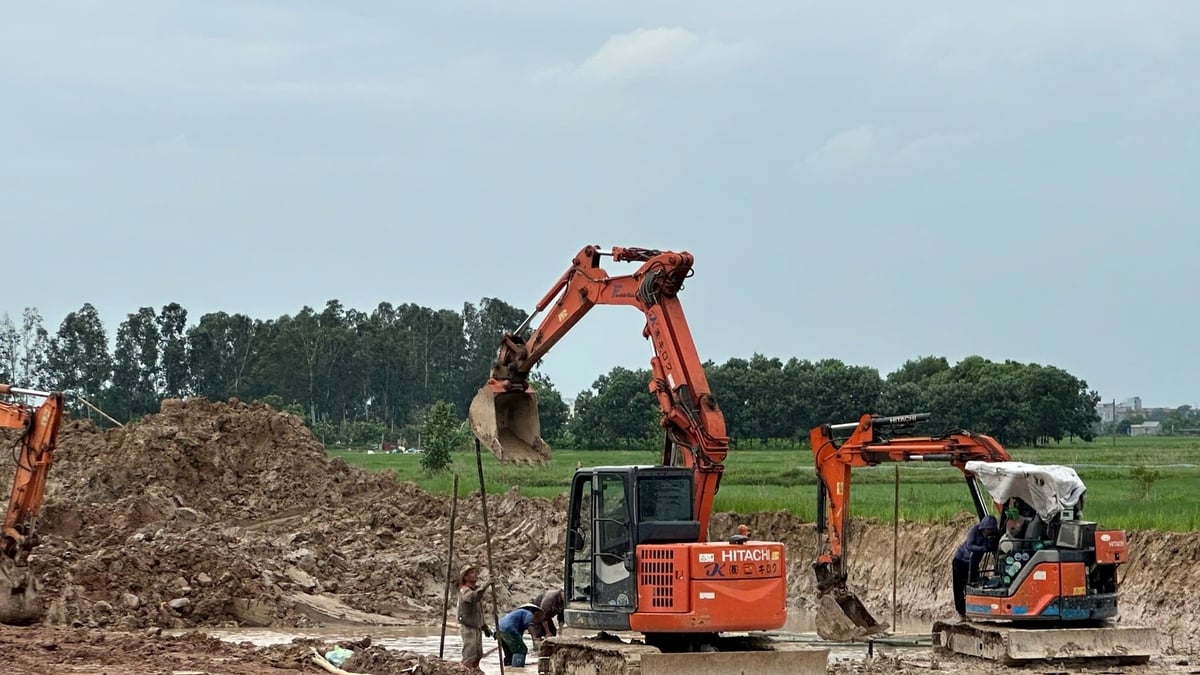 Schwerpunkt: Baufeldräumung für das Provinzstraßenprojekt 394B