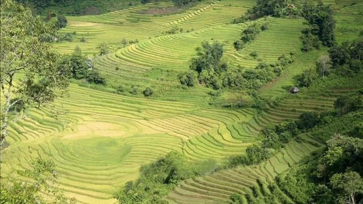 จุดสัมผัสที่น่าสนใจมากมายดึงดูดนักท่องเที่ยวให้มาซาปาในวันชาติ