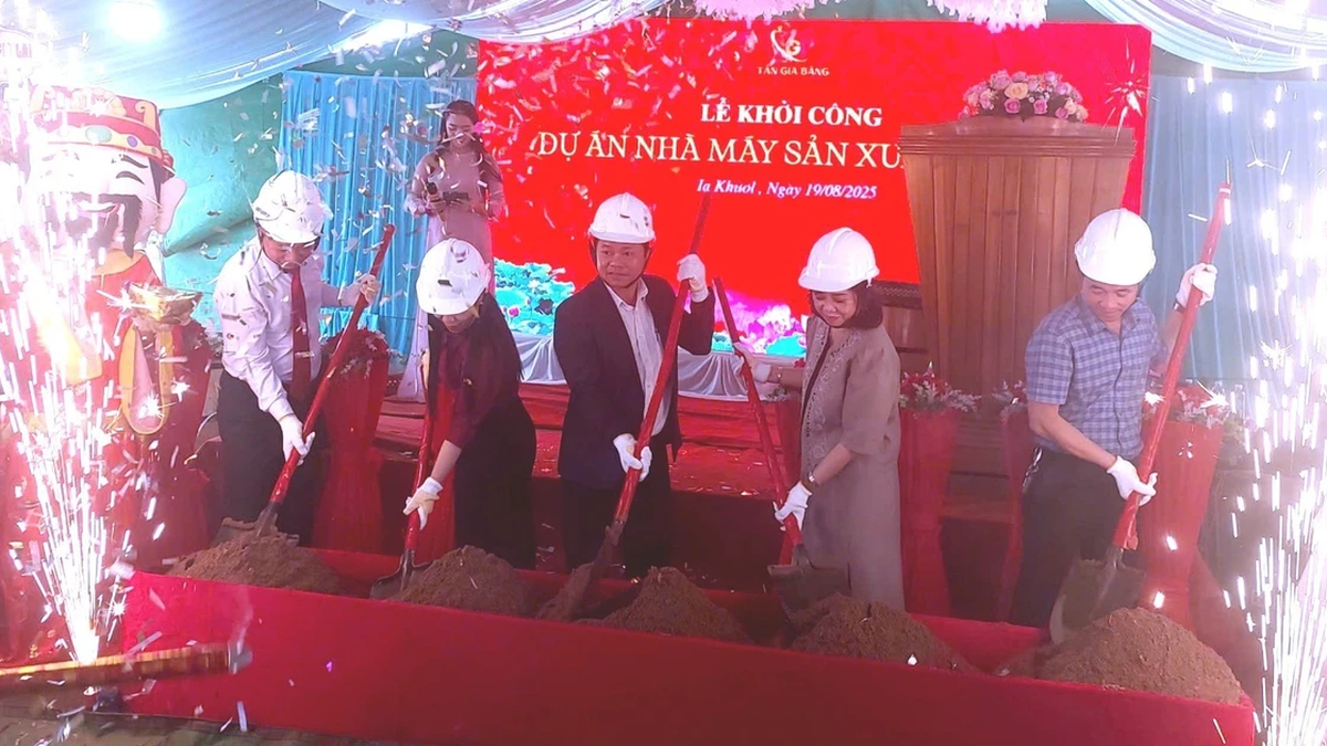 Gia Lai: Ia Khuol 산업 클러스터에서 포장 공장 프로젝트 시작
