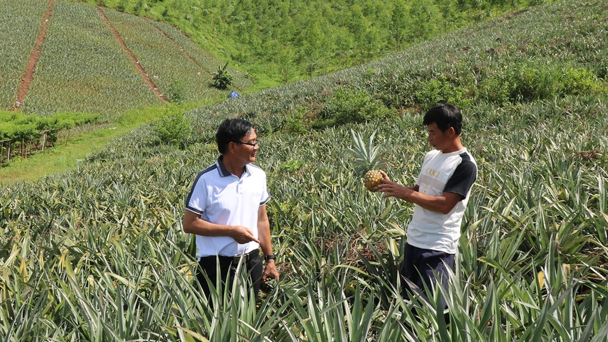 About Dong Cong, listen to the earth change