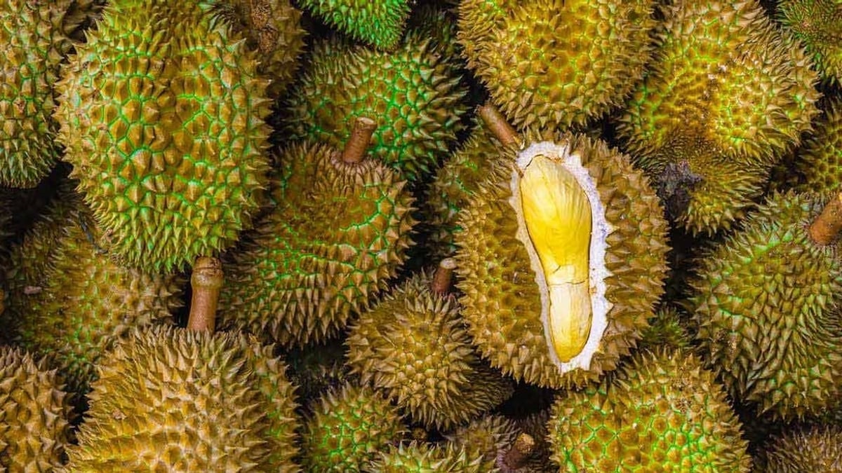 Durian price today August 2: Price increased in many places, export flourished