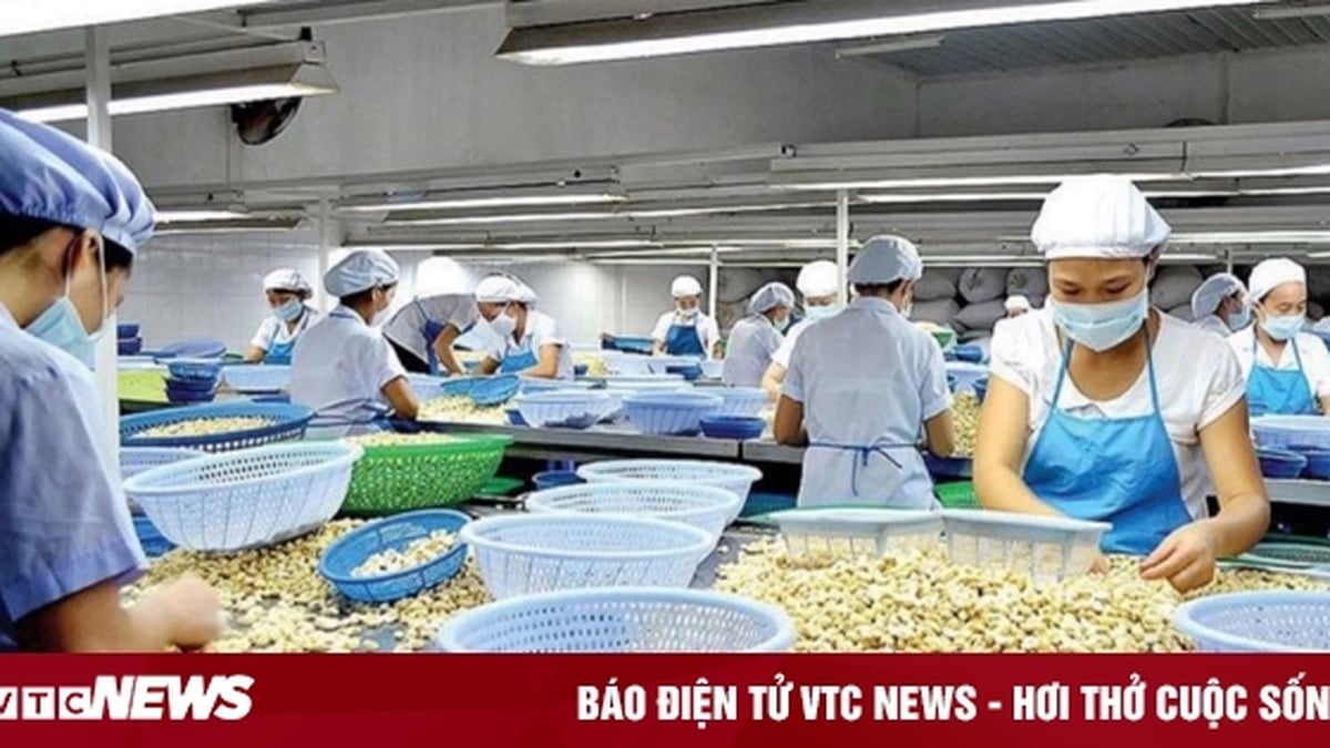 EE.UU. impone un impuesto del 20% a los productos vietnamitas: empresas y expertos esperan una mayor reducción