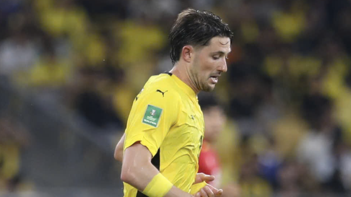 Malaysischer eingebürgerter Star hat sich über seine Herkunft „versprochen“: Hat die FIFA eine Grundlage, um zu beurteilen, dass die vietnamesische Mannschaft 0:3 verloren hat?