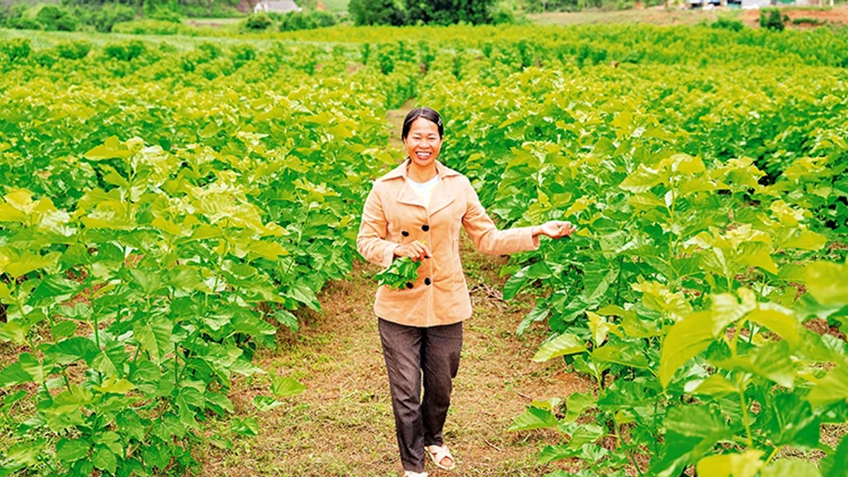 여성의 지속 가능한 생계 개선 지원