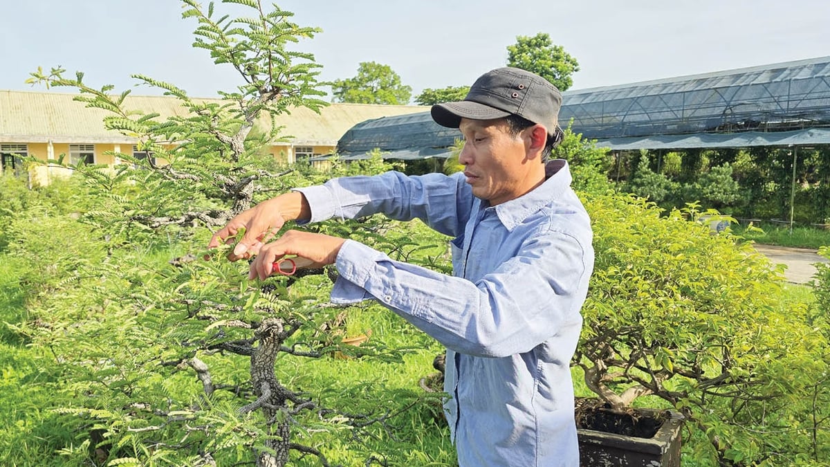 Sowing green seeds in the heart of heritage