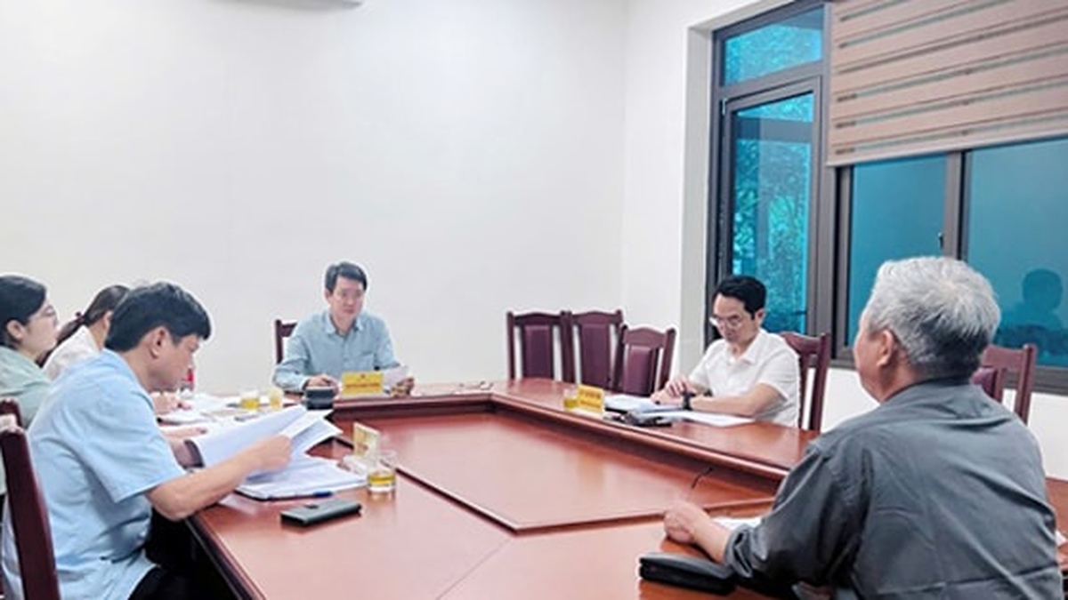 Hanoi: Complaints and denunciations are mainly related to land management and construction order.