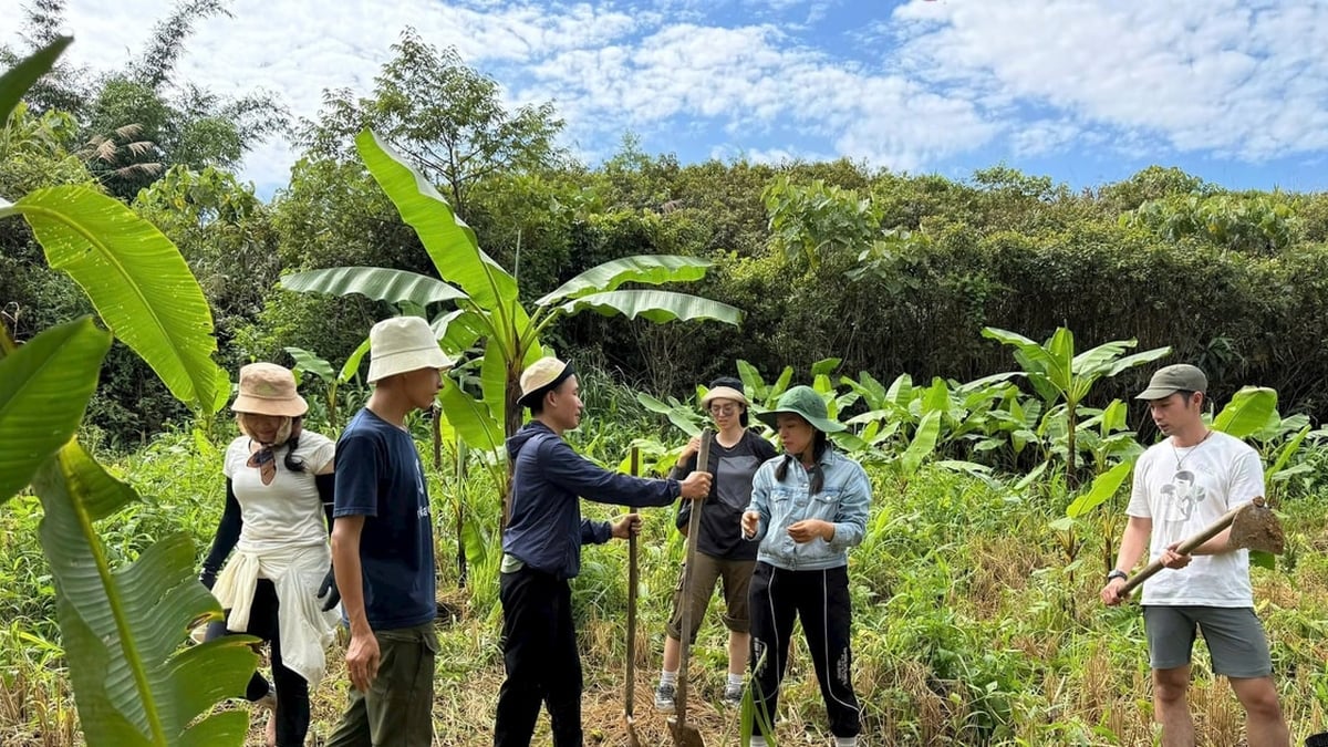 アウル村で未来のための緑の種を育てる