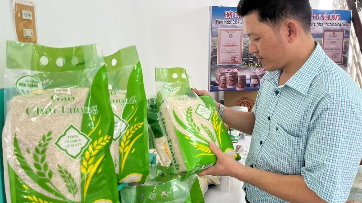 Promover ventajas, crear impulso para la economía colectiva
