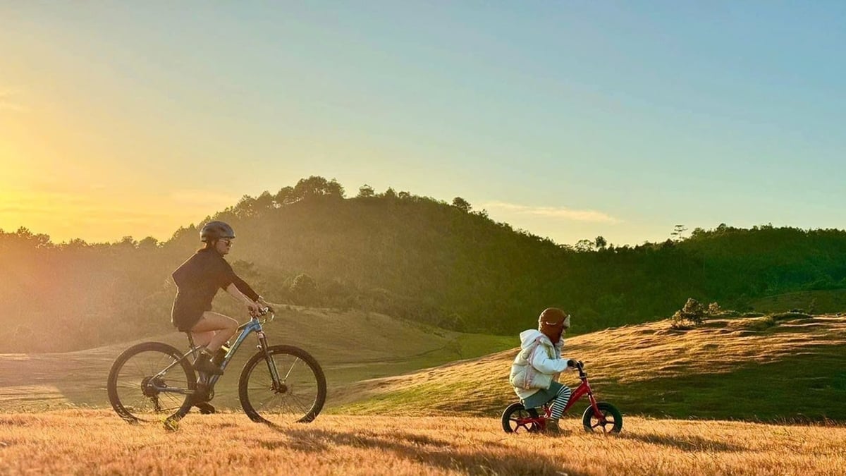 Tourists "love" experiencing Dalat's nature