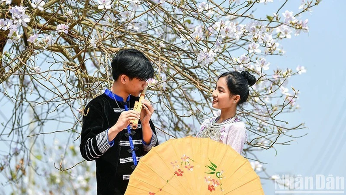 Shaping Vietnam's image in the international arena