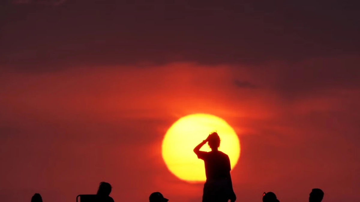 Northern Europe suffers 'unprecedented' heat wave