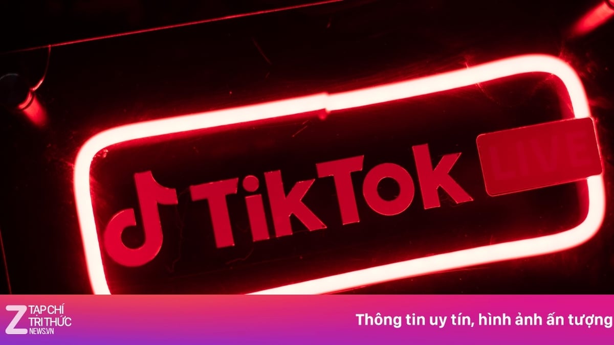 TikTok vs YouTube