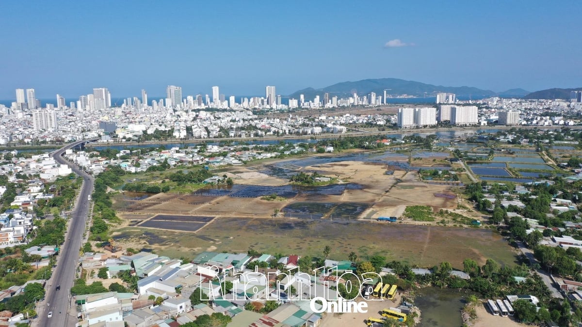 Khanh Hoa Provincial People's Committee directed to inspect and review the implementation of land recovery decisions for handover and management.