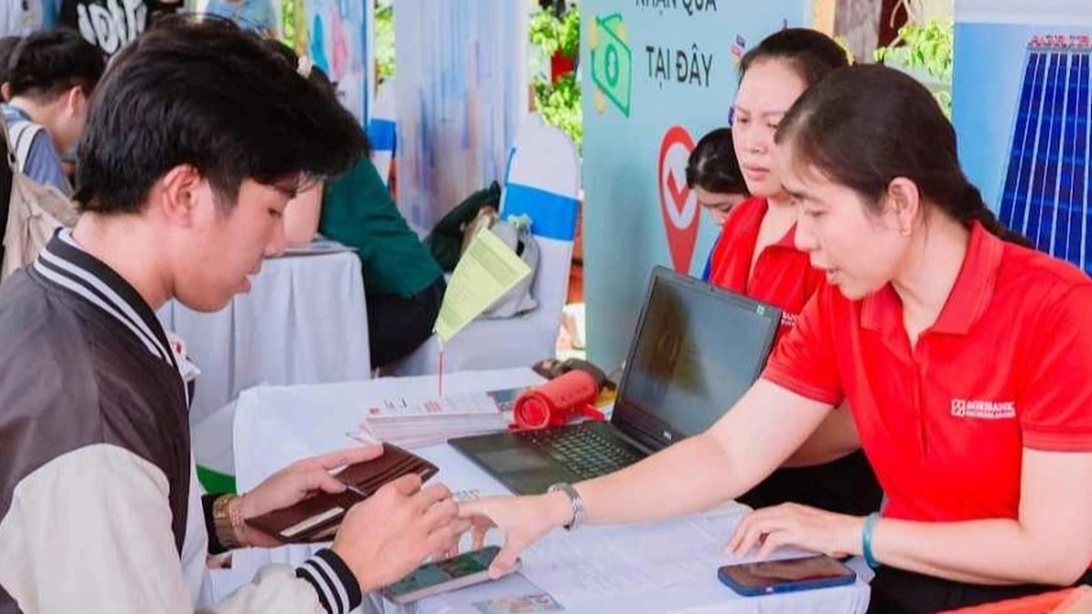 The special thing that "knocks out" excellent students in the job competition