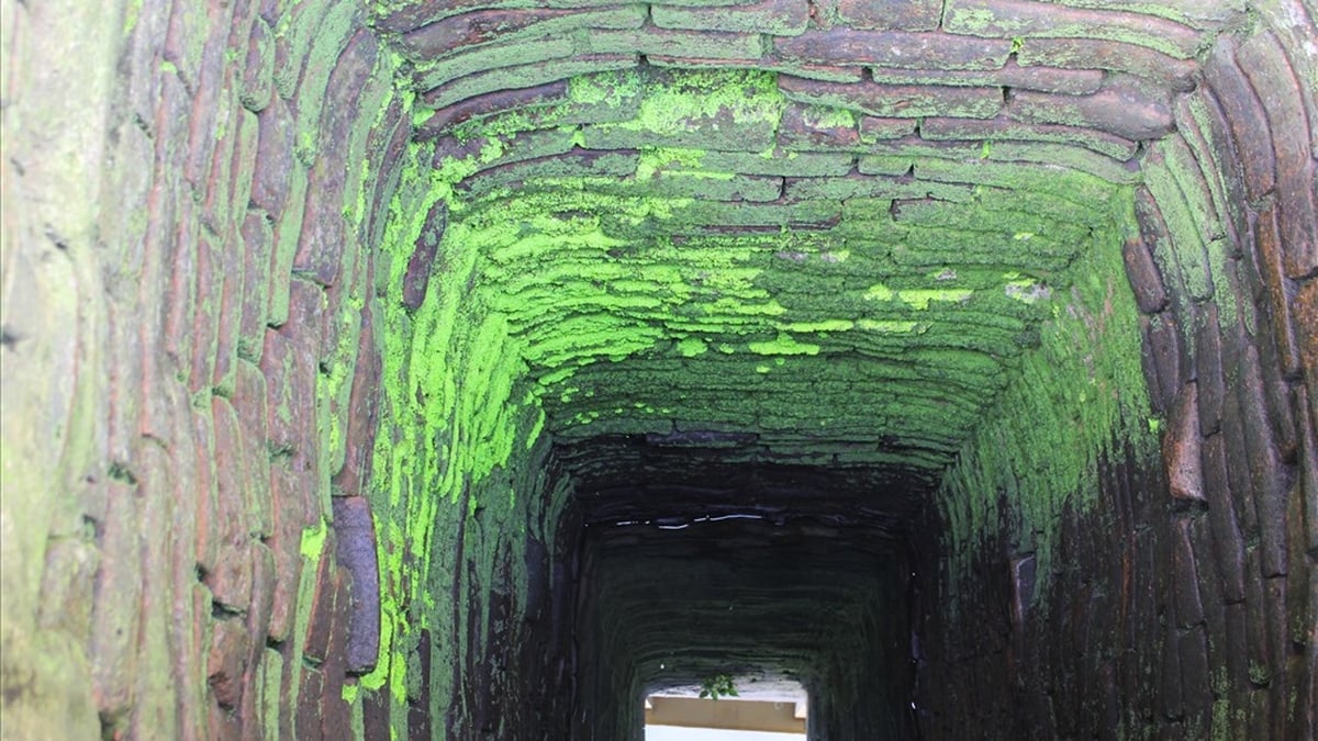 Hoi An: The ancient well that never dries up