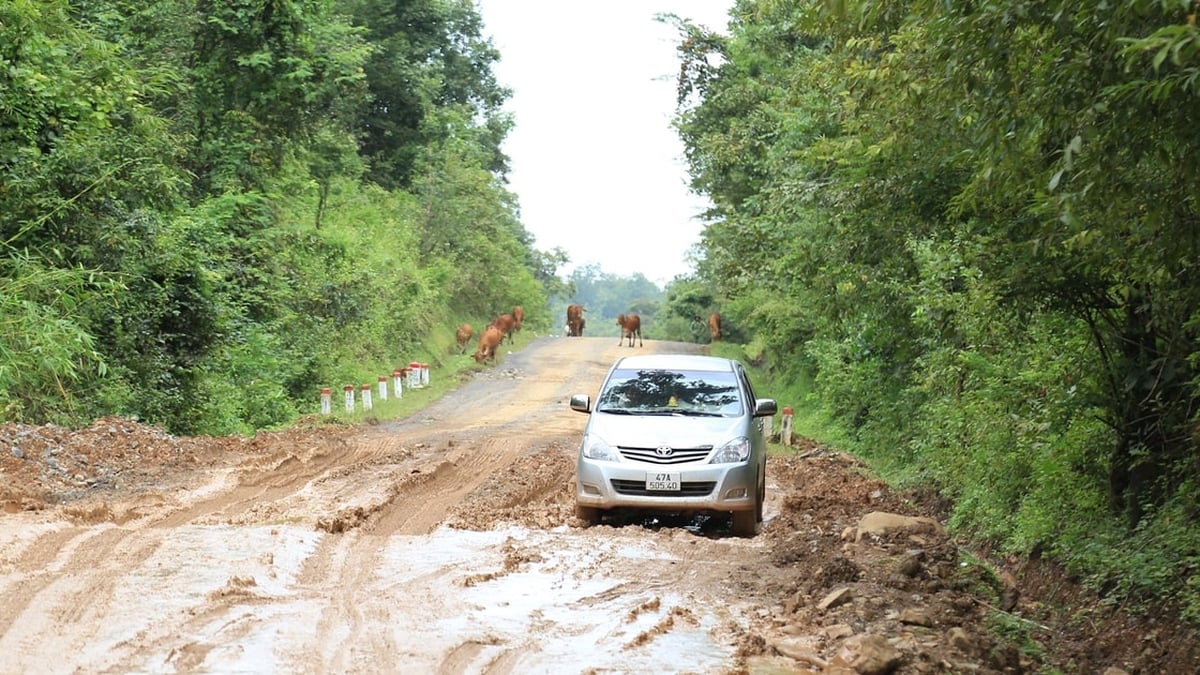 Nearly 23 billion VND to repair 7.4km of National Highway 14C through Lam Dong