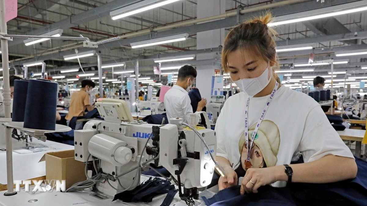 20% Counterpart Tax: Businesses Seek to Adapt