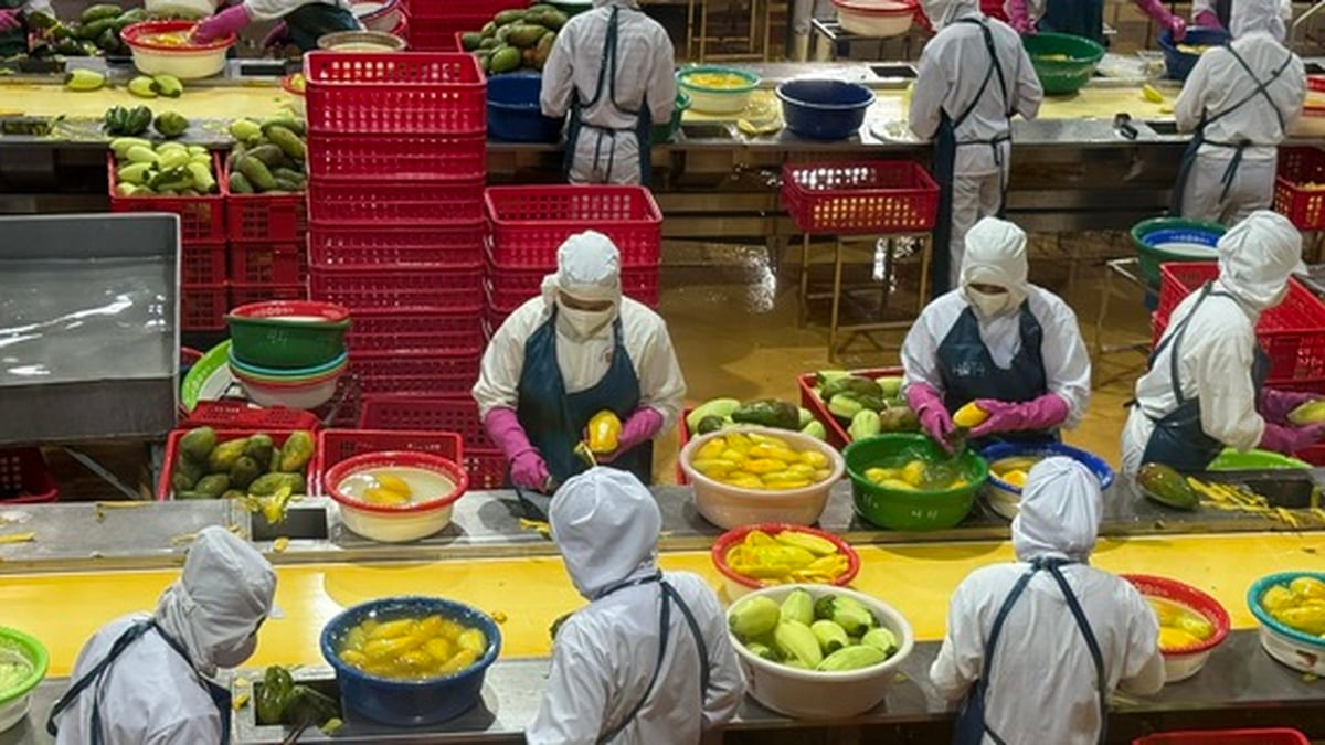 Les exportations agricoles, forestières et halieutiques atteignent près de 40 milliards USD ; le café établit un nouveau record