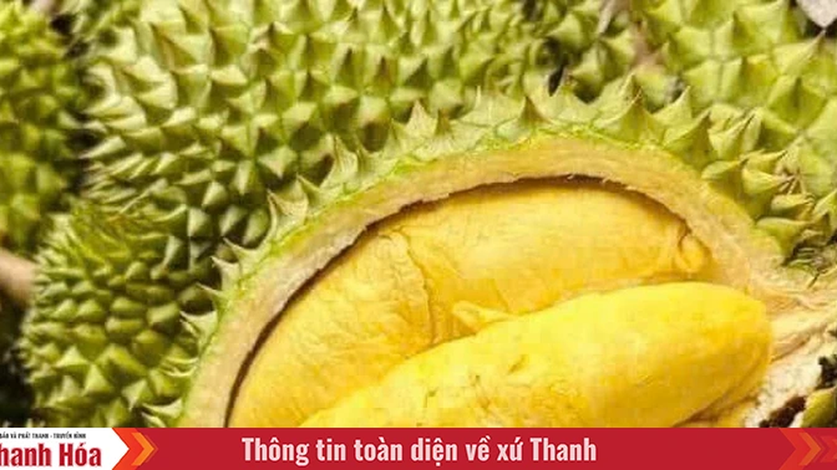 Standardizing food safety control procedures for exported fresh durian