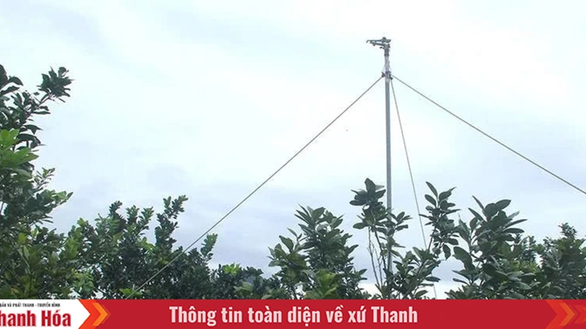 Model economic model in Nhu Thanh commune