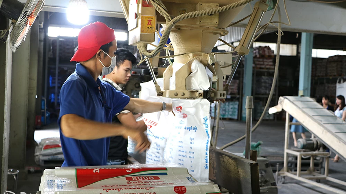 Dong Nai: Animal feed production output reaches 5 million tons/year