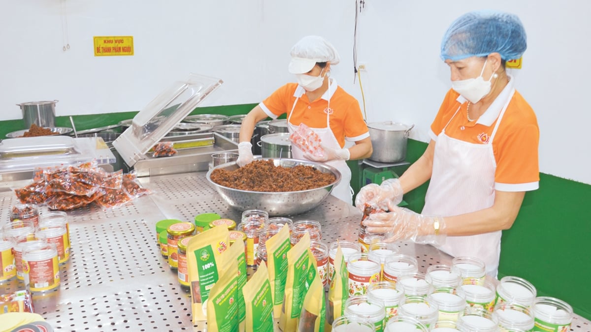 Safe agricultural products: From the village to the supermarket, to the world