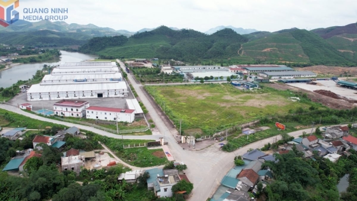 Accelerating the development of modern industrial clusters