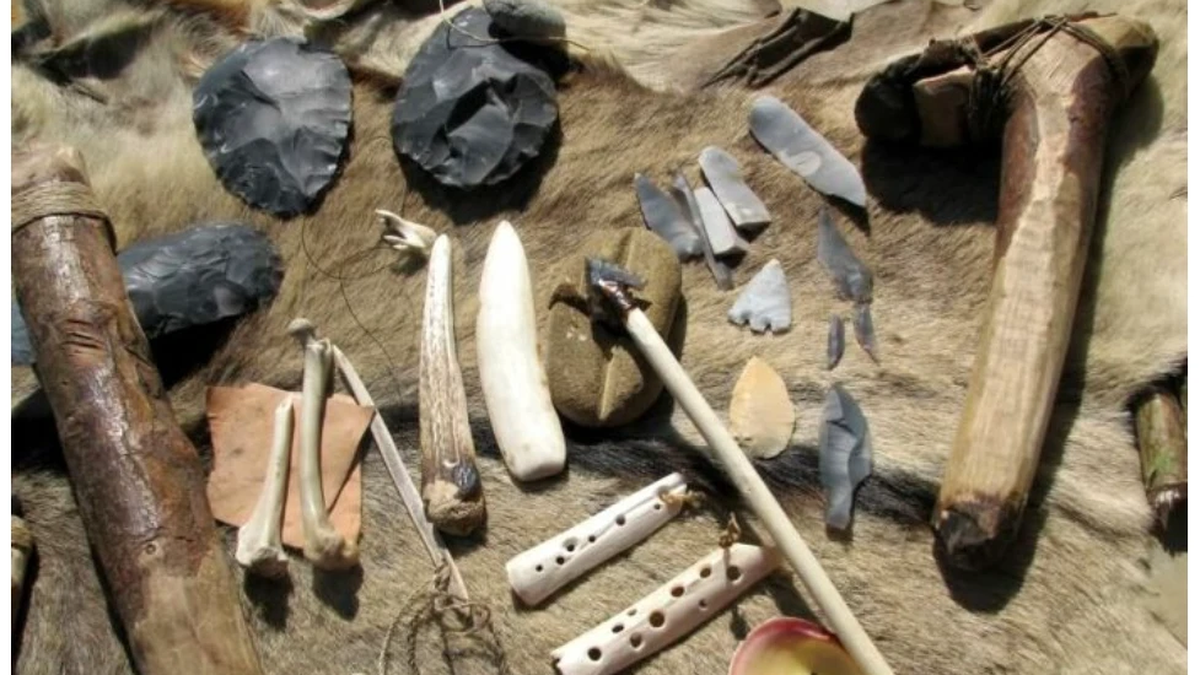 Belgium: Discovery of tools made from lion bones dating back to 130,000 BC