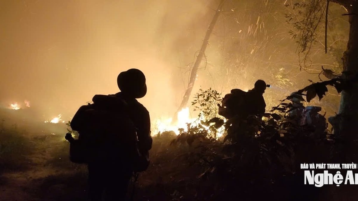 Muchas dificultades en la prevención de incendios forestales en Nghe An