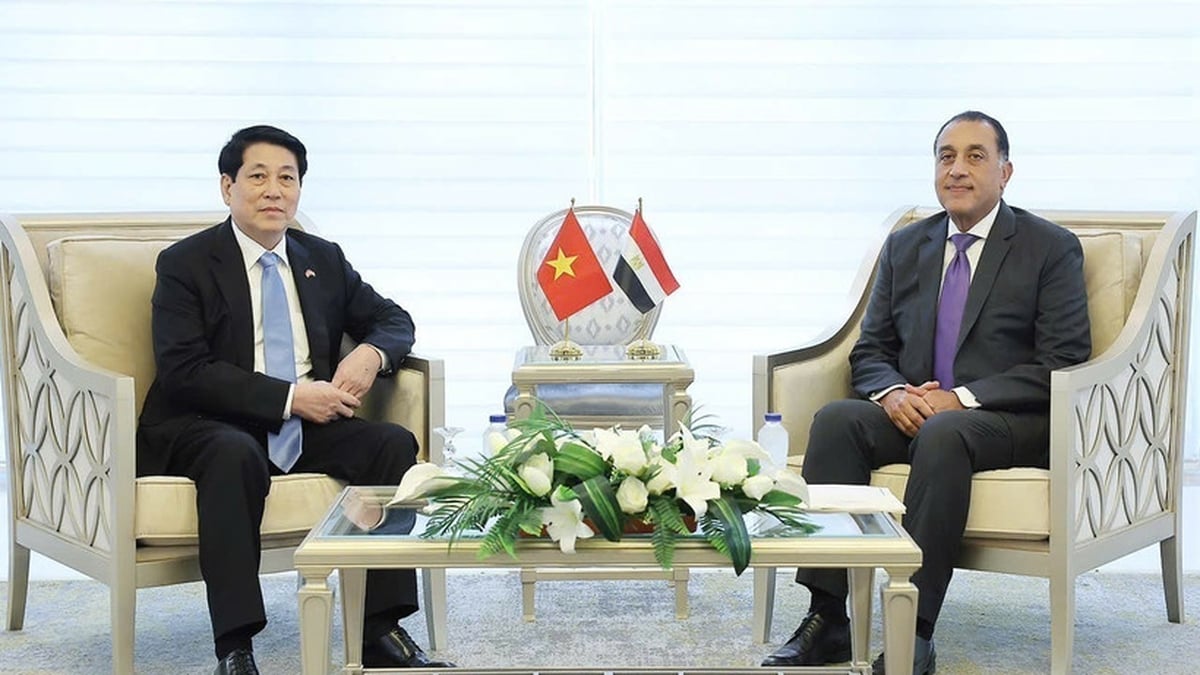 President: Vietnam always attaches importance to developing relations with Egypt