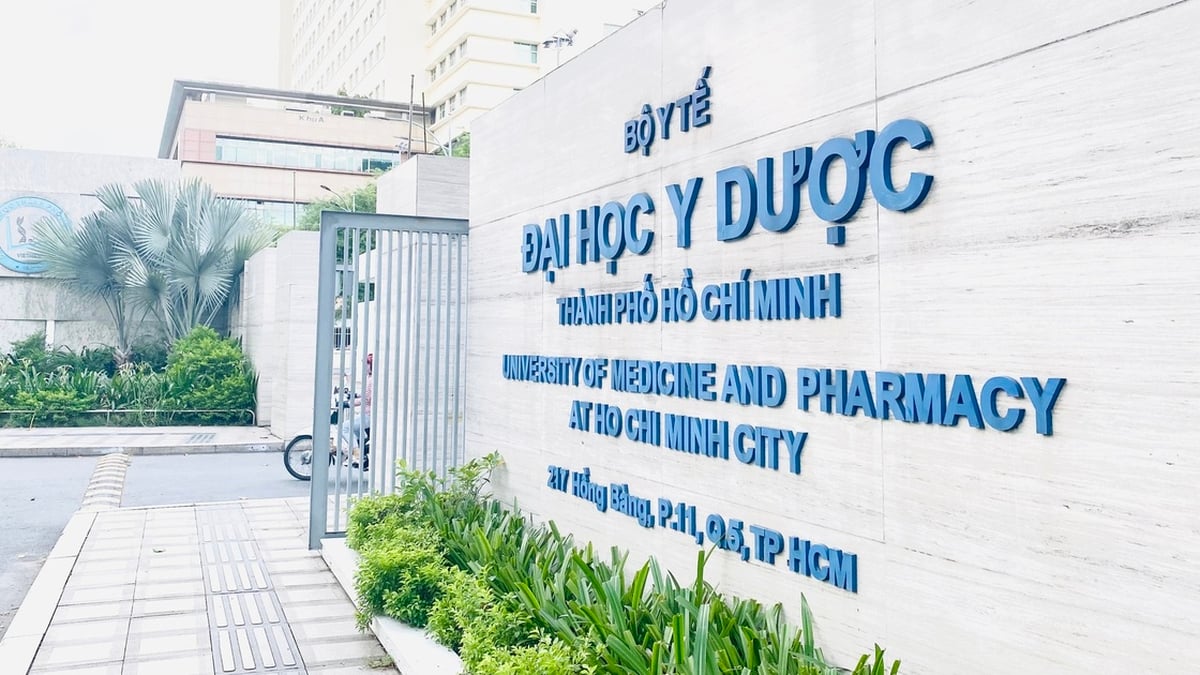 ¿Existe una diferencia en los puntajes de admisión de la Universidad de Medicina y Farmacia de la ciudad de Ho Chi Minh entre los grupos de admisión?