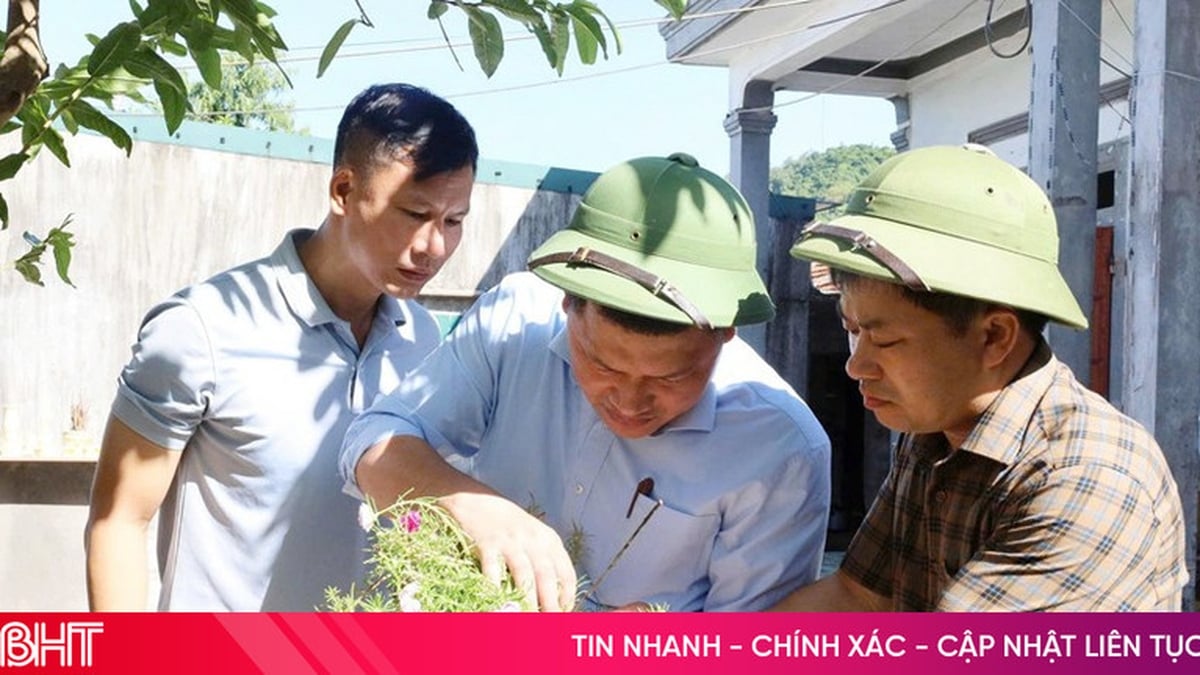Ha Tinh successfully controlled the first dengue fever outbreak in 2025