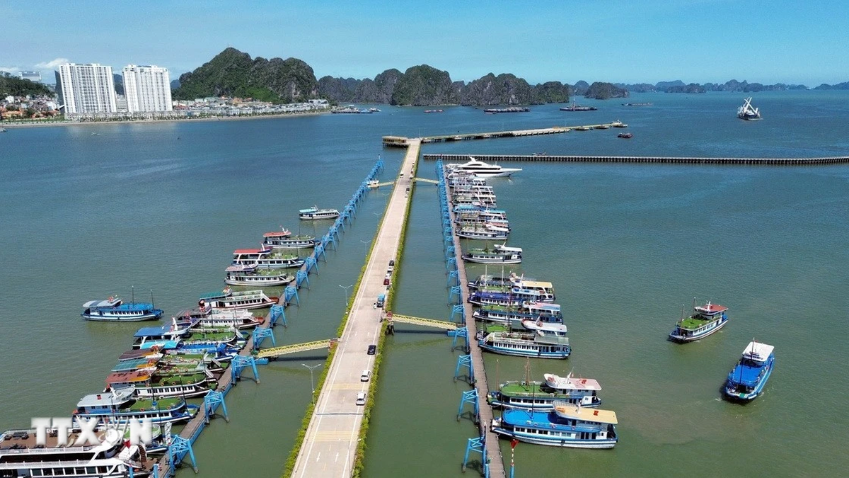 Quang Ninh: Cruise ships on Ha Long Bay install communication equipment before August 15
