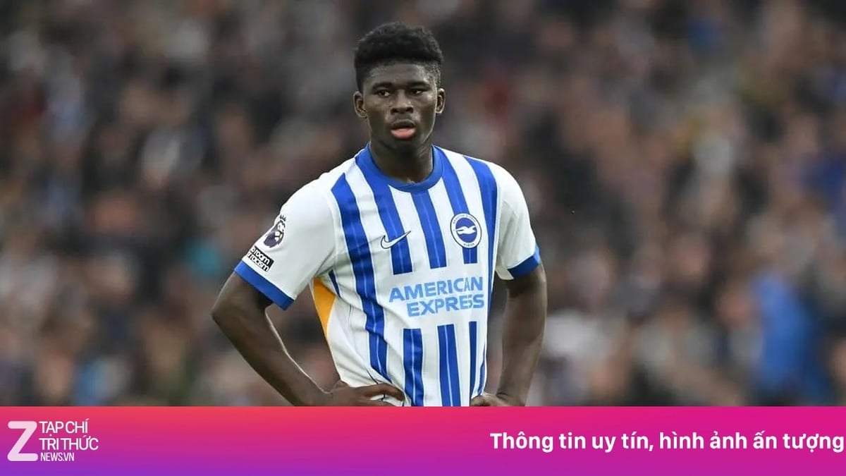 ไบรท์ตันตั้งราคาบาเลบาไว้ที่ 120 ล้านยูโร