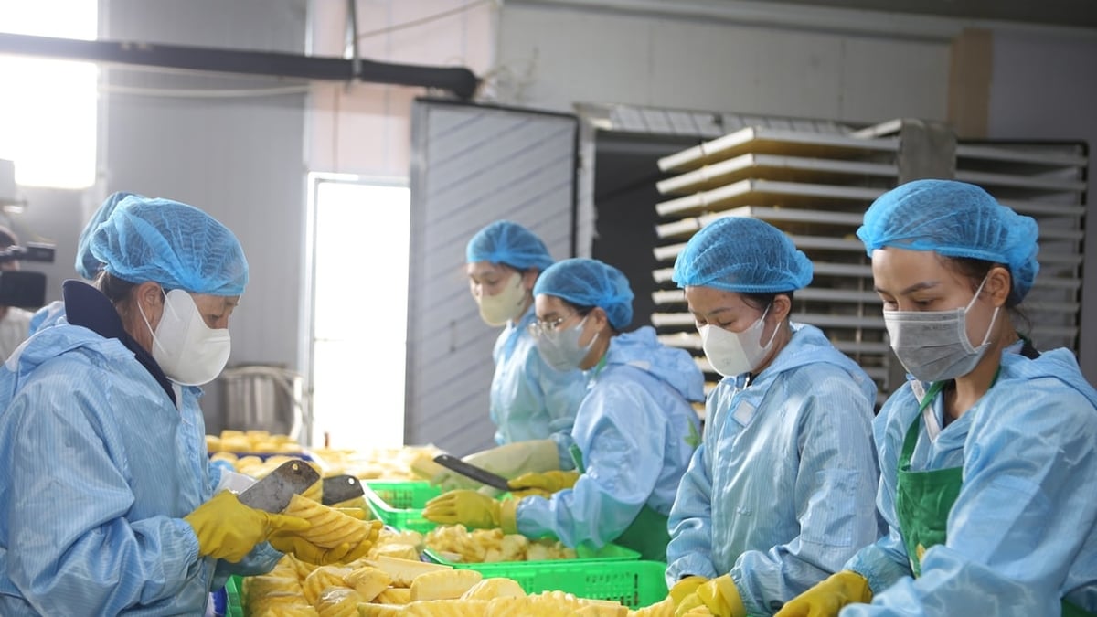 Agricultural products and food safety issues