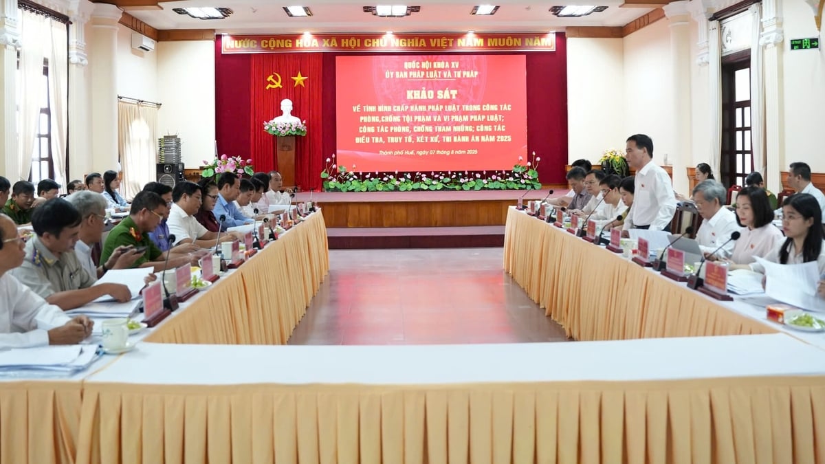 Hue sharply reduces crime, recommends improving judicial law