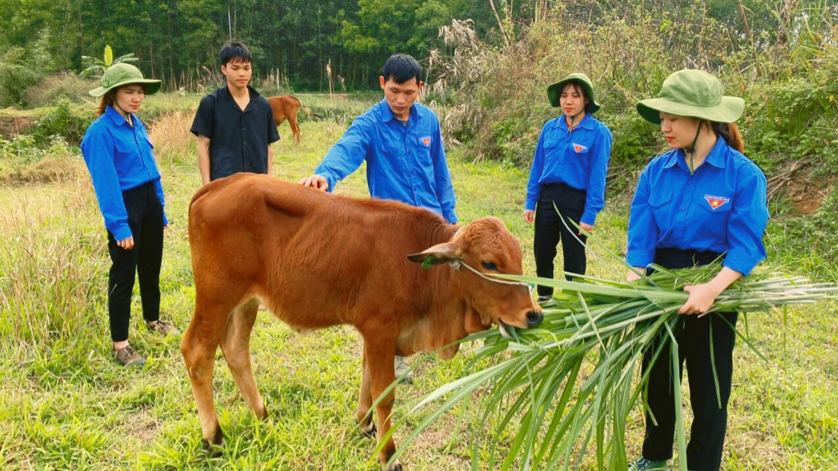 សេដ្ឋកិច្ច - ក្រុមការពារ ៣២៧ (យោធភូមិភាគទី ៣)៖ ការជួយមនុស្សគឺជាបញ្ជាដែលមិនចេះនិយាយ