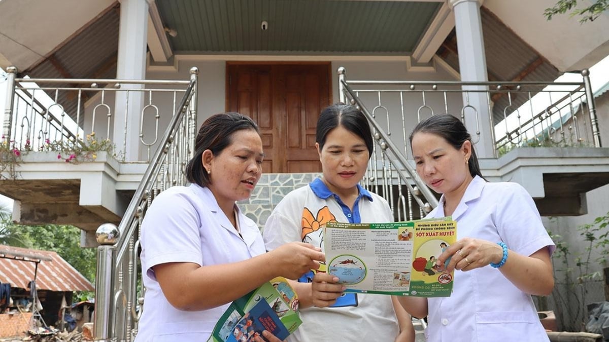 Promoting the role of the "extended arm" of the health sector