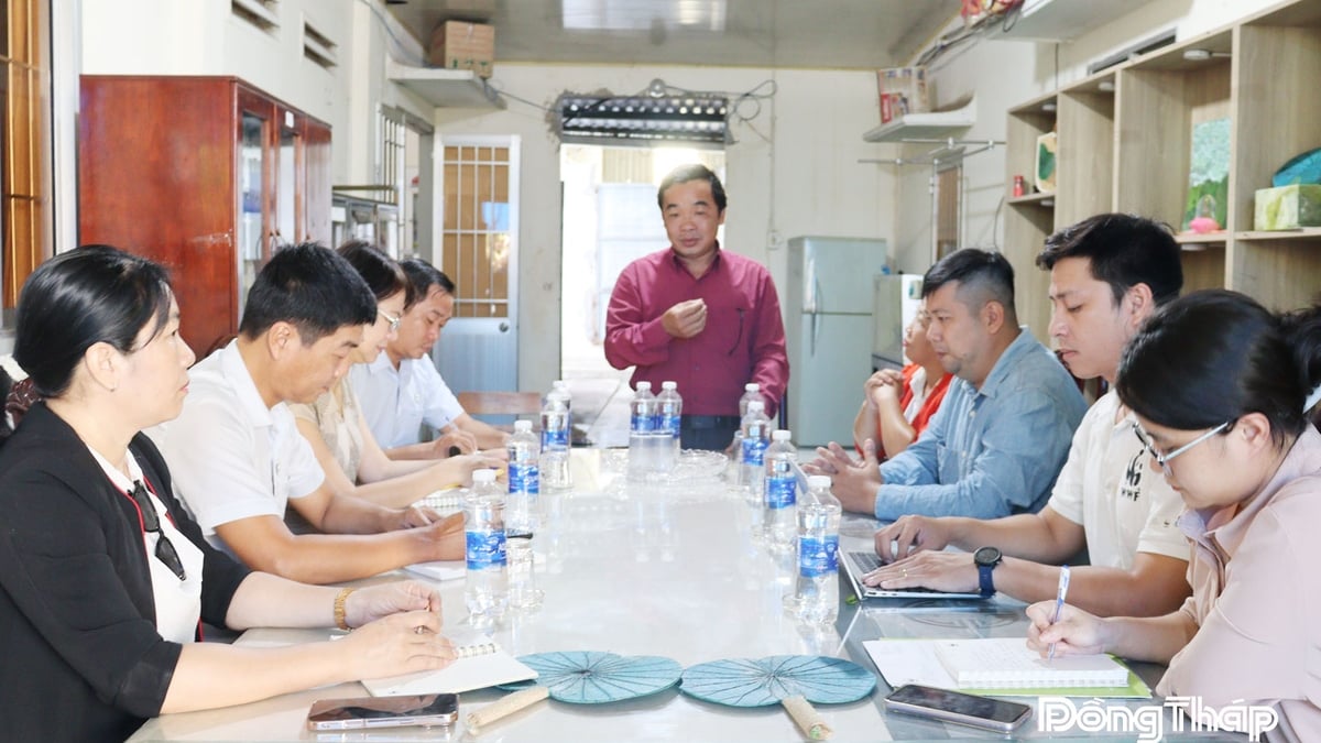 Dong Thap: Upgrading the lotus industry value chain