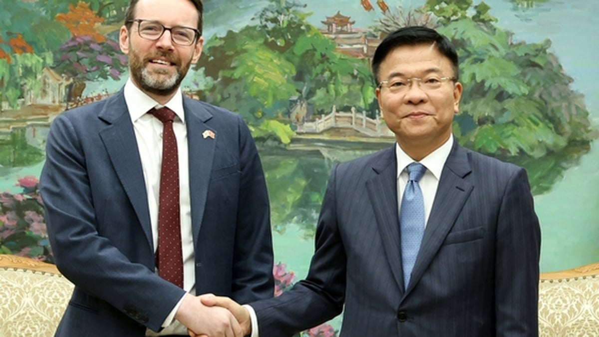 Deputy Prime Minister Le Thanh Long: Vietnam - UK educational cooperation is a bright spot