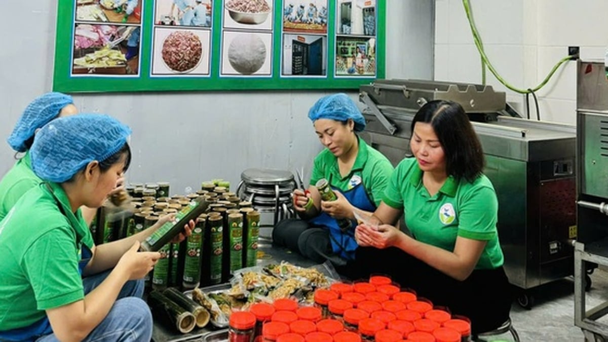 Ethnic minority and mountainous women enhance the flavor of the mountains and forests through each product