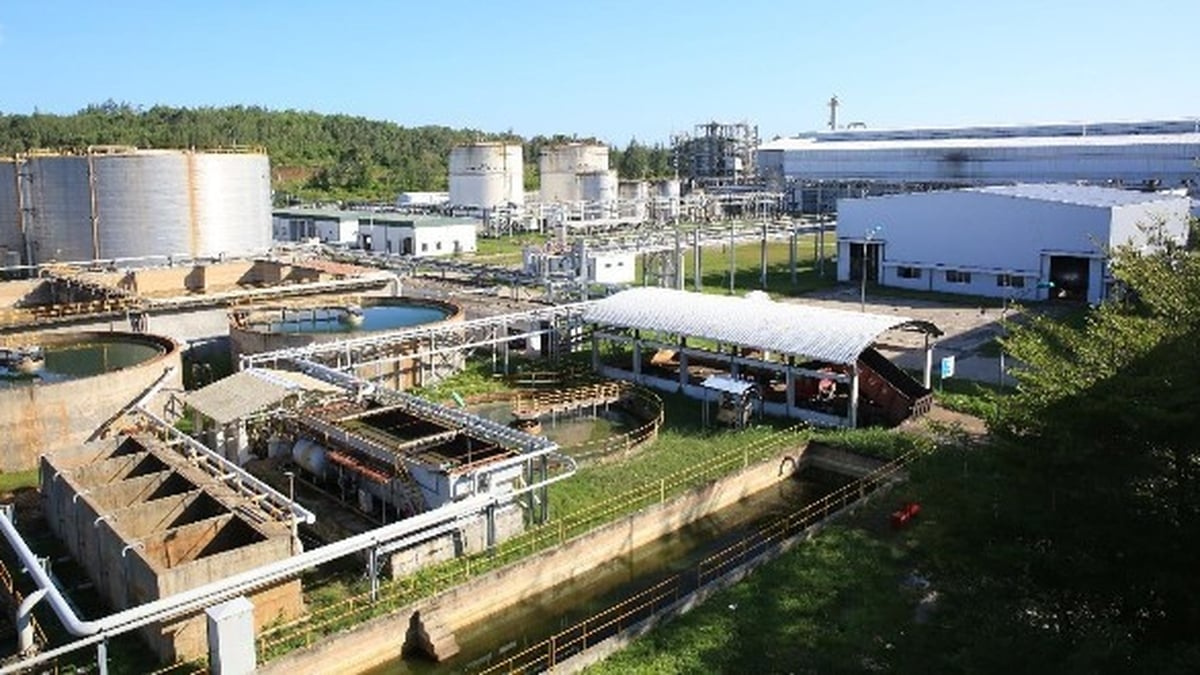 Opportunities for Quang Ngai producers in the Ethanol supply chain