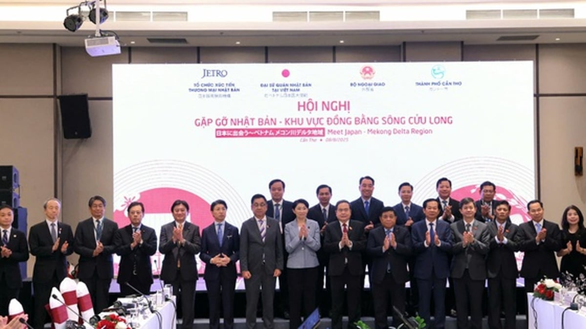 Meeting Japan - Mekong Delta: Strengthening cooperation and connection in many fields