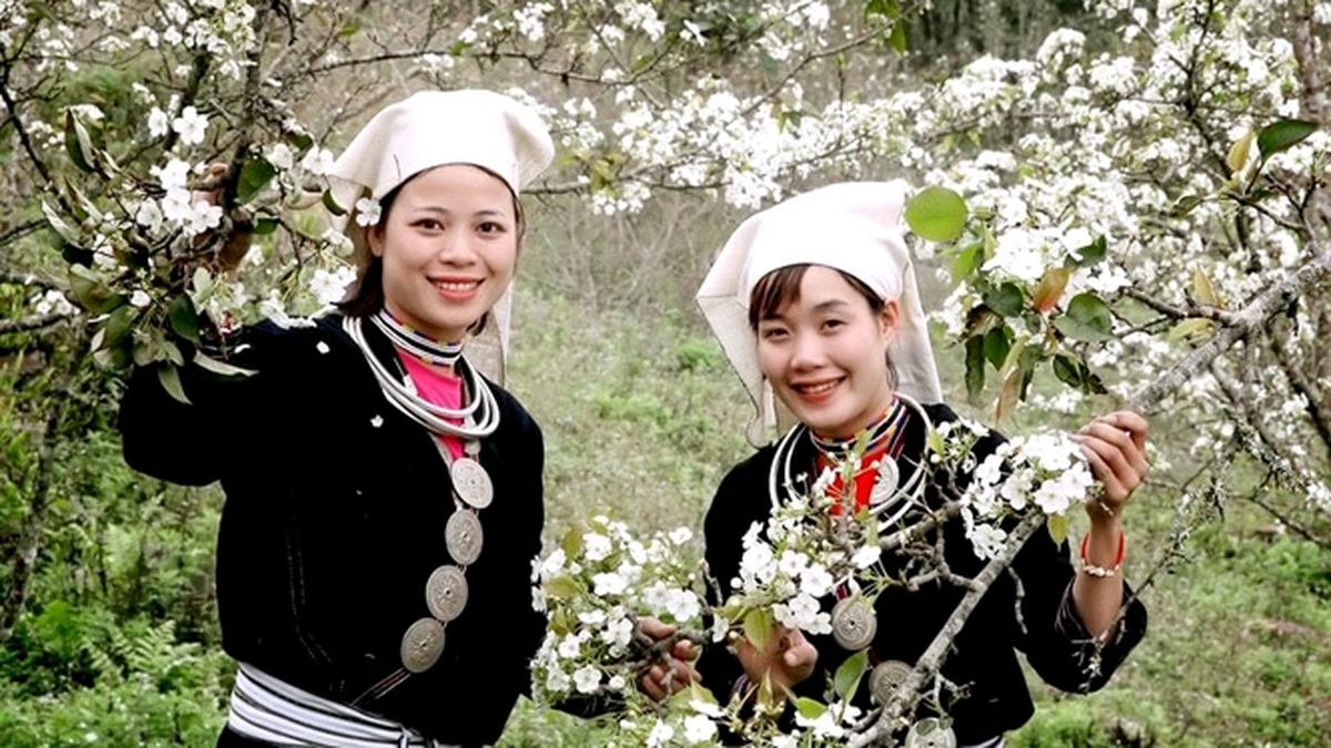 Lễ hội hoa lê Hồng Thái 