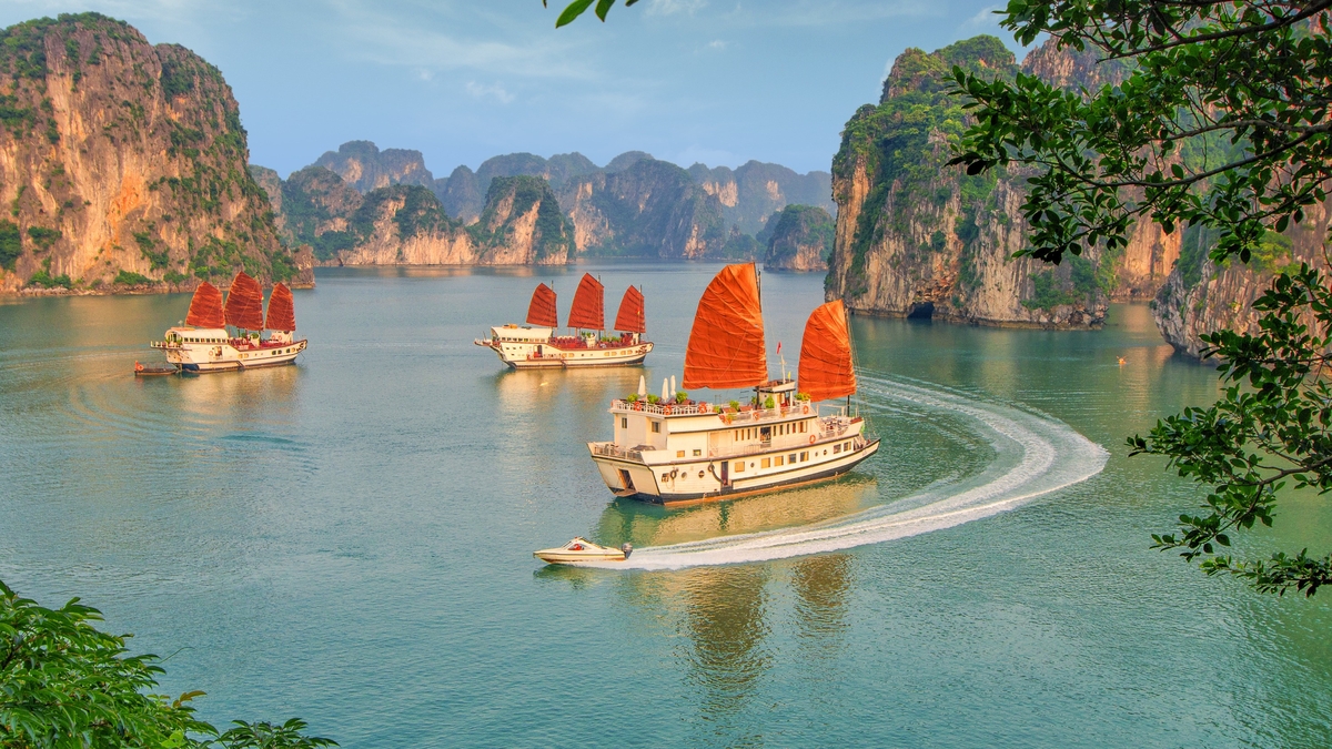 Ngắm thuyền buồm chạy ngược gió trên vịnh Hạ Long