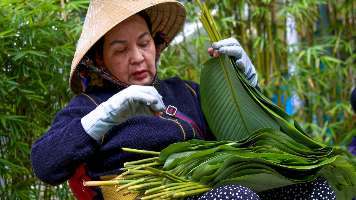 Bananbladmarkedet i Da Nang, som arrangeres én gang i året, er travelt i dagene før Tet (månens nyttår).