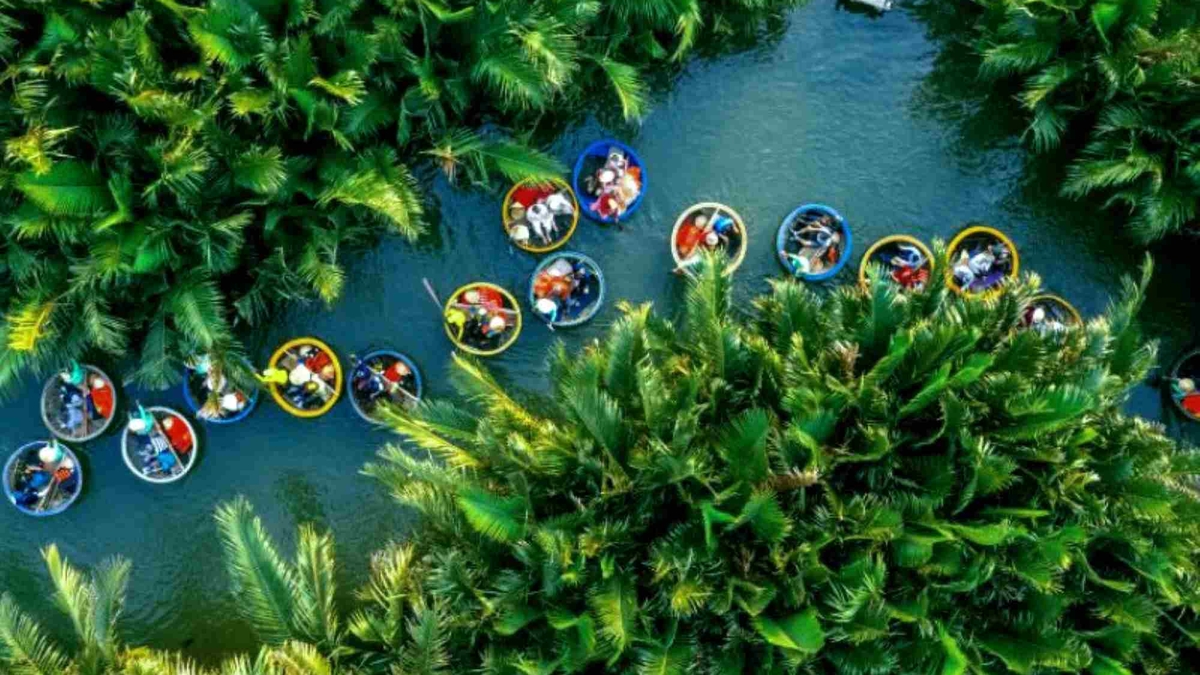 Viaje de primavera al bosque de manglares de Tinh Khe: experimente el paisaje verde en el corazón de un sitio patrimonial.