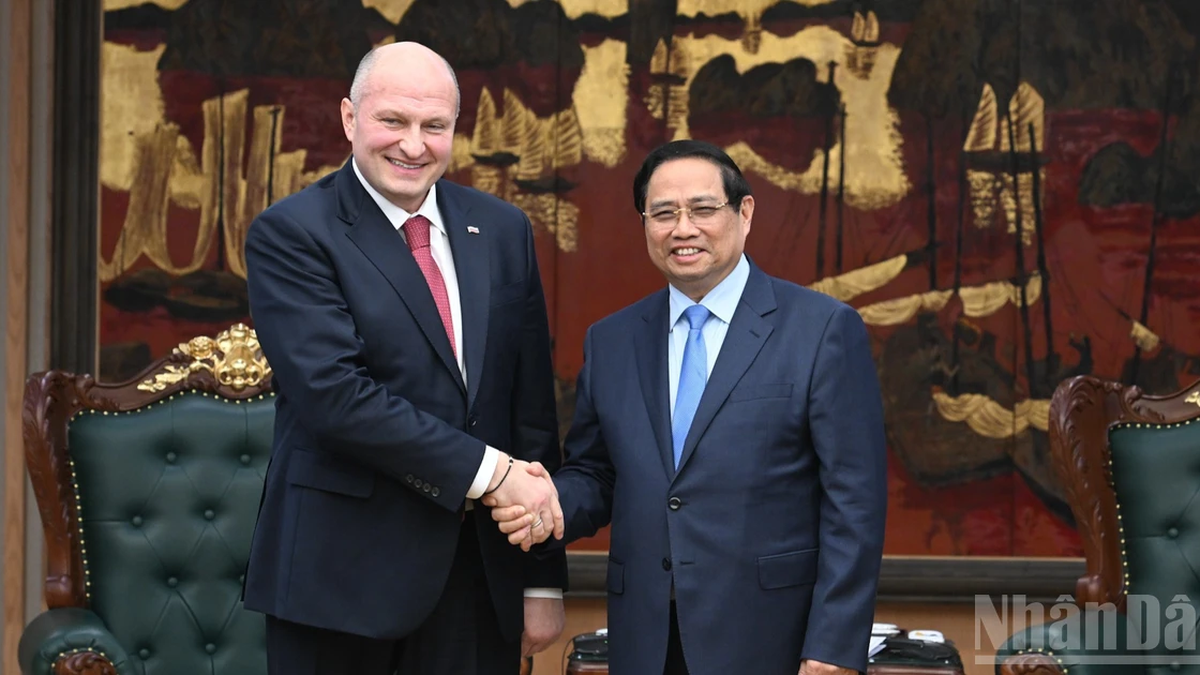 [Photo] Le Premier ministre Pham Minh Chinh reçoit le ministre des Situations d'urgence de la Fédération de Russie.