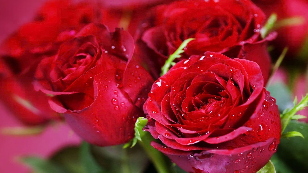 Le marché aux fleurs et aux cadeaux est en pleine effervescence à l'occasion de la Journée internationale des femmes, le 8 mars.